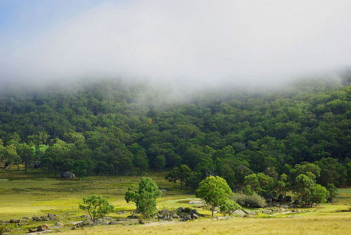 Capoompeta NSW Darwin Holiday