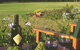 Tranquil Vale Vineyard Cottages - thumb 0