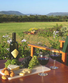 Tranquil Vale Vineyard Cottages - Darwin Holiday 0