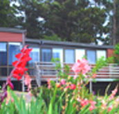 Mount Roland View - Darwin Holiday