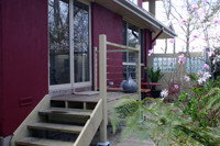 Amble At Hahndorf - Amble Fern - Darwin Holiday 2