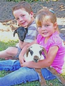 Sarina Motor Inn - Darwin Holiday 0