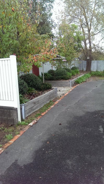 The Little Bird House - Darwin Holiday 2