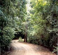 Mt Glorious Getaway Cottages And Conference Centre - Darwin Holiday