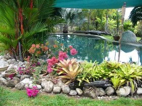 Daintree Wild Bed And Breakfast - Darwin Holiday 0