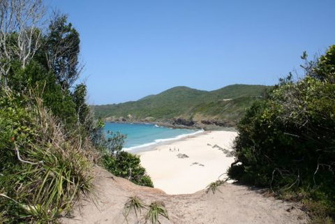 @ Forster - Darwin Holiday 1