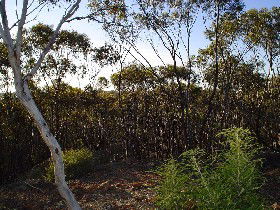Hattah ACT Darwin Holiday