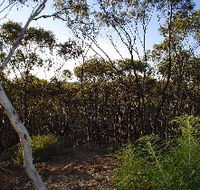 Lions Dryandra Woodlands Village - Darwin Holiday