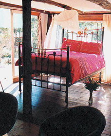 Lazy Curl - Darwin Holiday 0