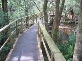 The Mouses House - Darwin Holiday 0