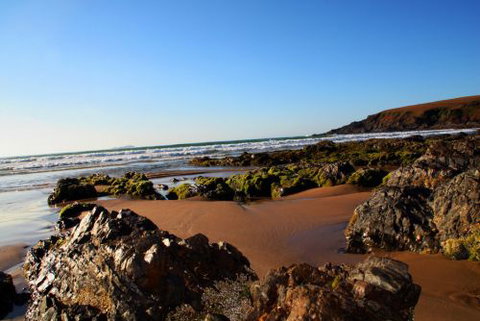 ArtHOUSE Beachfront Accommodation - Darwin Holiday 8