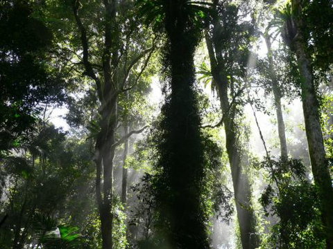 Alcheringa Holiday House - Darwin Holiday 6