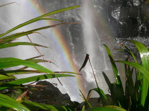 Alcheringa Holiday House - Darwin Holiday 7