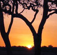 Coodardie Station Stay - Darwin Holiday