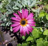 Kiewa Country Cottages - Darwin Holiday