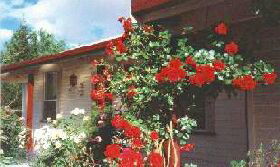 Rose Cottage Bed And Breakfast - Darwin Holiday 0
