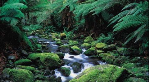 Lorne Getaways - Darwin Holiday 1