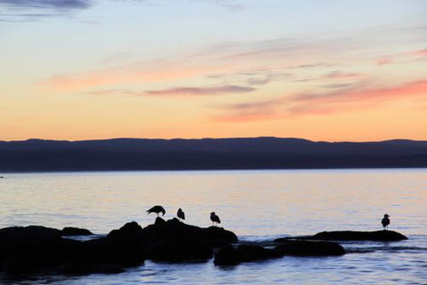 The Blue House Coles Bay - Darwin Holiday 5