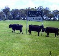 Cluan Homestead - Darwin Holiday