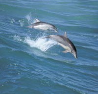 Seachange - Darwin Holiday