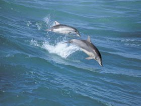 Seachange - Darwin Holiday 0