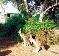 Avoca Dell Caravan Park - Darwin Holiday