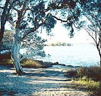 The Cove - Darwin Holiday