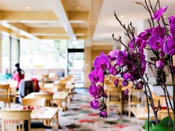 Pullman Melbourne On The Park - Darwin Holiday 42