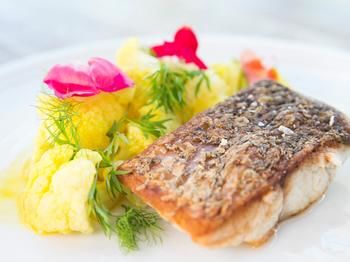 Novotel Sydney Manly Pacific - Darwin Holiday 102