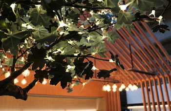 Ovolo Woolloomooloo - Darwin Holiday 25
