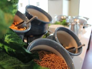 Ibis Newcastle - Darwin Holiday 35