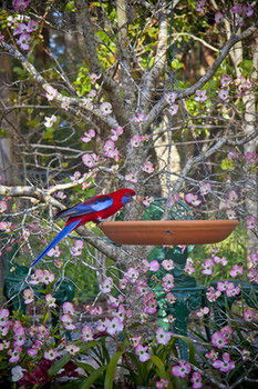 Moments Mountain Retreat - Darwin Holiday 17