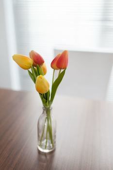 Easystay Apartments Raglan Street - Darwin Holiday 11