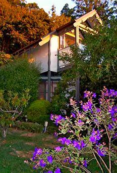 Annie Roe's Luxury Bed & Breakfast - Darwin Holiday 4