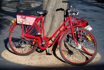 Art Series - The Cullen - Darwin Holiday 12