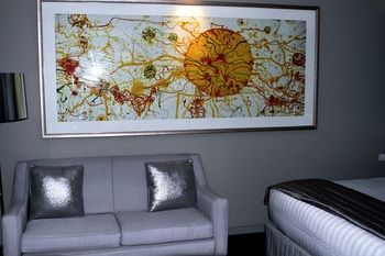 Art Series - The Olsen - Darwin Holiday 44