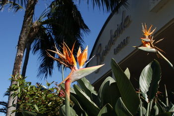 Beachside Resort - Kawana Waters - Darwin Holiday 4