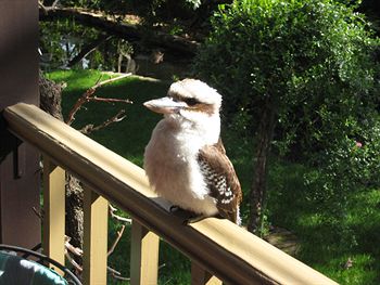 Bungunyah Apartments - Darwin Holiday 3