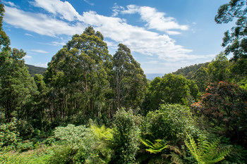 A Camelot Tower & Penthouse - Darwin Holiday 46