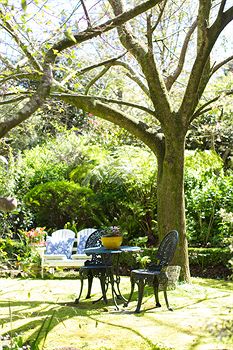 Adeline Bed And Breakfast - Darwin Holiday 7