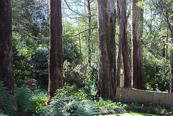 Adeline Bed And Breakfast - Darwin Holiday 8