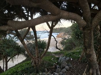 Surf Dance - Darwin Holiday 9