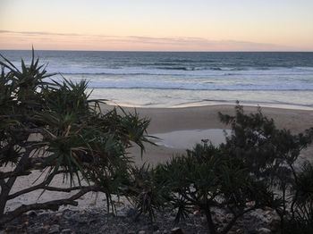 Surf Dance - Darwin Holiday 12
