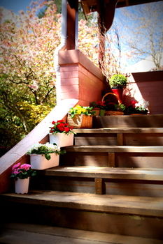 Hotel Avonleigh - Darwin Holiday 13