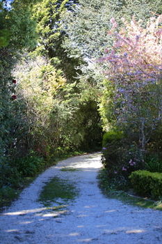 Hotel Avonleigh - Darwin Holiday 15