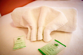 Hotel Avonleigh - Darwin Holiday 26