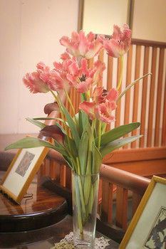 Hotel Avonleigh - Darwin Holiday 30