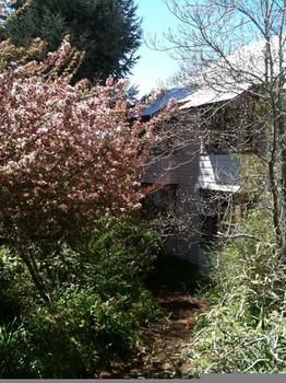 Hotel Avonleigh - Darwin Holiday 45