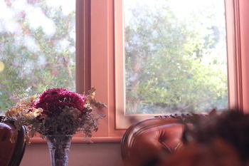 Hotel Avonleigh - Darwin Holiday 46