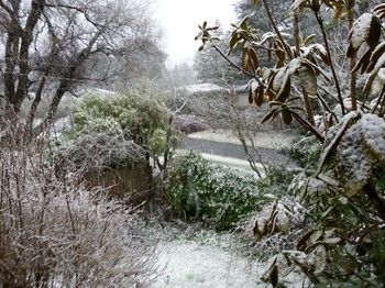 Hotel Avonleigh - Darwin Holiday 51